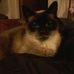 Mandy Hinkle - Facebook