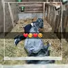 Mandy1234 - @mandyhinrichs655 - TikTok