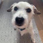 Mandy hobbs - @mandy.hobbs - Instagram