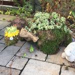 Mandy Höfer - @hoefer.mandy - Instagram