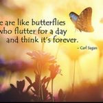 MandyHofer - @butterfly_breeze31 - Instagram