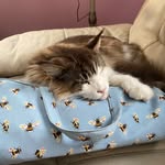 Mandy Skinner - @mandyhogan1966 - Instagram