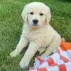 mandyhogan8 - @mandyhogan8 - TikTok