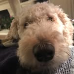 Mandy Hoke Metzger - @mandymetz15 - Instagram