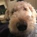 Mandy Hoke Metzger - Facebook