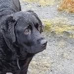 Mandy Holloway - @joy4life2007 - Instagram