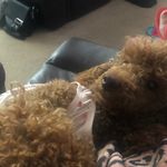 Mandy Holloway - @mandy_holloway - Instagram