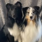 Mandy Holloway - Facebook