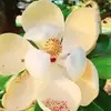 Mandy Holloway - @mandy.holloway2 - TikTok