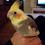 Mandyhoman - @mandy.homan - Instagram