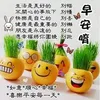 mandypeihong15@gmail.com - @mandypeihonghong - TikTok
