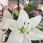 Mandy - @mandyhood64 - Instagram