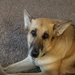 Amanda Hooks - @mandy_fl2563 - Instagram
