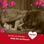 Mandy Horn - @maendl1 - Instagram