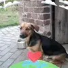 Mandy Horn - @mandy.horn48 - TikTok