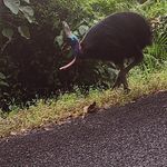 Mandy Horne - @mandyhorne9 - Instagram