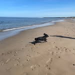 Amanda Horner - @amanda.horner.5074 - Instagram