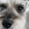 Mandy - @mandy..hyatt - TikTok