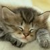 Mandy Ison - Facebook