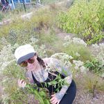 Mandy Ison - @cemetaryp0lka - Instagram