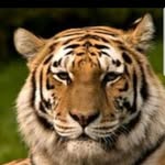 Maninder - @mandy.isongram - Instagram