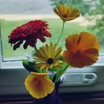 Mandy Jacobson - @handymandy247 - Instagram