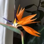 Mandy Jensen - @stoffa77 - Instagram