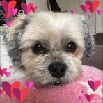 Mandy Jensen - Facebook