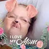 mandyjensen81 - @mandyjensen81 - TikTok