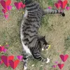 kaisermandy - @kaisermandy - TikTok