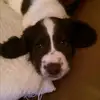 Mandy Kerr - @mandykerr12 - TikTok