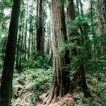 Amanda Kessler - @amanda_kessler_photography - Instagram