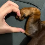 Mandy Kessler - @mandy.kessler.14 - Instagram