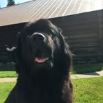 Mandy Krueger - @mandy_k406 - Instagram