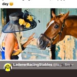 Mandy Laderer - @laderer_racing_stables - Instagram