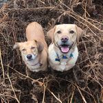 Mandy Lambert - @mandy.lambert.39589 - Instagram