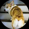 mandylamberts1994 - @mandylamberts1994 - TikTok