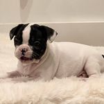 Mandy Landry - @withluvfromlola - Instagram