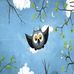 Mandy Lippmann - Facebook