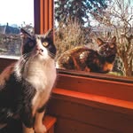 Mandy & Lilly - @lillybug.mandypants - Instagram