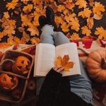 Mandy lines - @isabella_mandy12 - Instagram