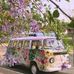 Mandy Little - Facebook