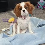 Mandy Lloyd - @_mandy_lloyd_ - Instagram