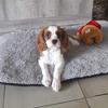 Mandy Lloyd - @mandy.lloyd4 - TikTok