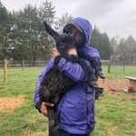 Mandy Locke - @secondactfarms - Instagram