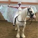 Mandy Lodge - @lodge1620 - Instagram