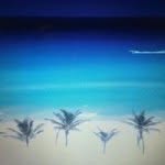 Mandy Logsdon - @softball_mom28 - Instagram