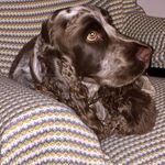 Mandy Lord - @daisyjane54 - Instagram