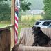 Mandy Miller Lord - Facebook