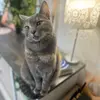 mandy&lottie - @mandy.anders - TikTok